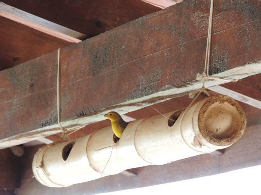 Chacara Verzani * Socorro (Sao Paulo)